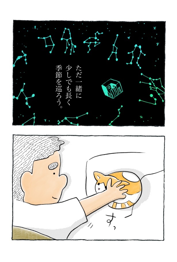 kotatsu100_15
