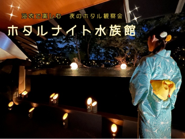 年齢制限のないナイトイベントも実施。2022年6月の「ホタルナイト水族館」では館内各所でホタルの生体を展示。浴衣・甚平で来館した人には特典もあった