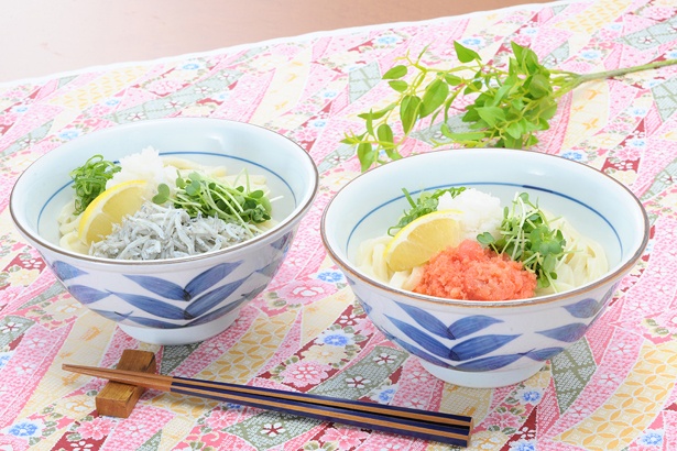 「製麺大学」から、暑い夏にぴったりの限定メニューが登場！