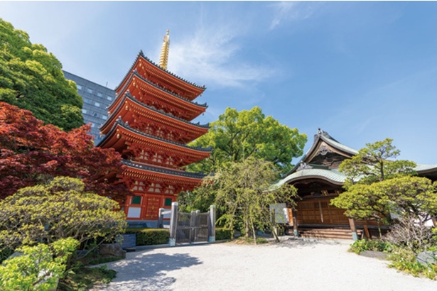 弘法大師が日本で最初に開山した密教寺院。高さ約26メートルの五重塔は年に一度特別拝観会が行われる