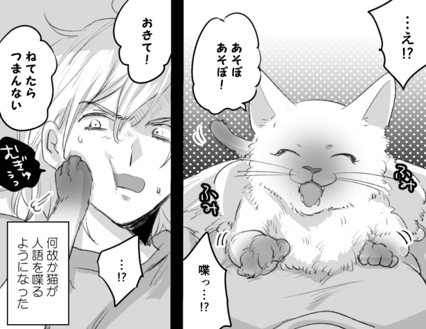 言葉の壁と猫(5)