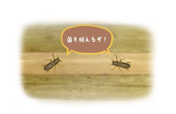 #5_カシノナガキクイムシは農業をする