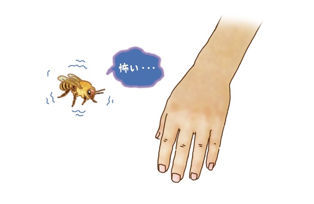 #20_ミツバチはよほどのことがないかぎり人間を刺さない