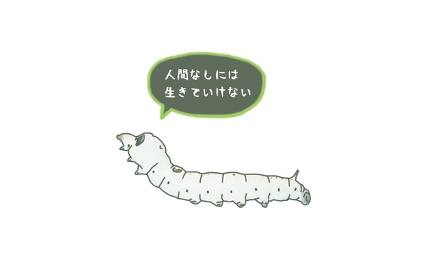 #22_カイコは人間が飼っているだけで自然界にはいない