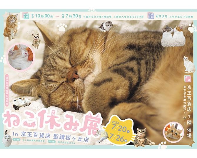 大人気イベント「ねこ休み展」多摩に初上陸！スター猫写真＆癒やしの猫グッズが大集合