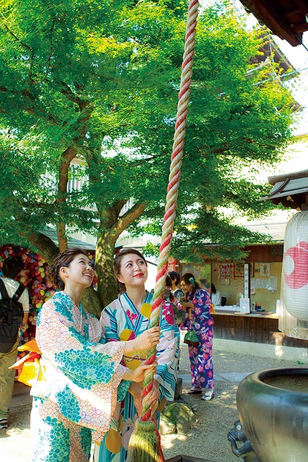 レンタル浴衣で、夏の京都を歩いてみるのはいかが？