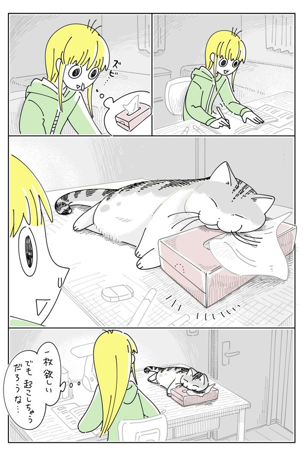 猫 漫画 コレクション 枕に寝るもの