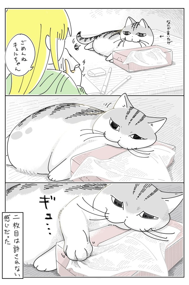 猫 漫画 枕に寝るもの