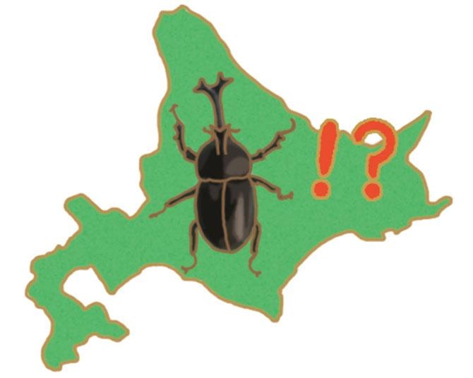 昆虫ハンター・牧田習が解説するオドロキの昆虫雑学！カブトムシは北海道では外来種