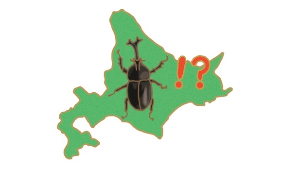 カブトムシは北海道では外来種