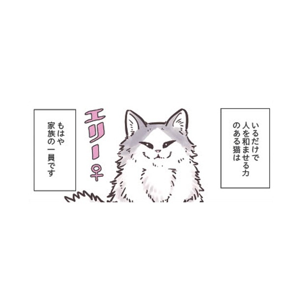 ＜画像1 39＞猫と幸せに暮らすための教科書 第1回～第4回 ｜ウォーカープラス