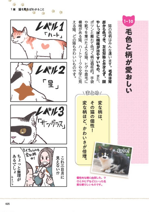 ＜画像20 39＞猫と幸せに暮らすための教科書 第1回～第4回 ｜ウォーカープラス