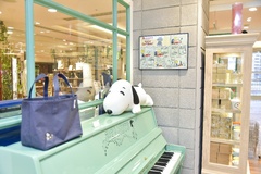 この店のためだけに、ペパーミントグリーンに塗り替えたピアノ