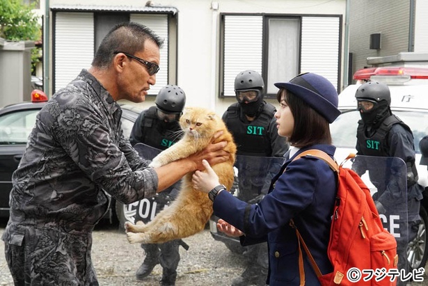「fur」的圖片搜尋結果