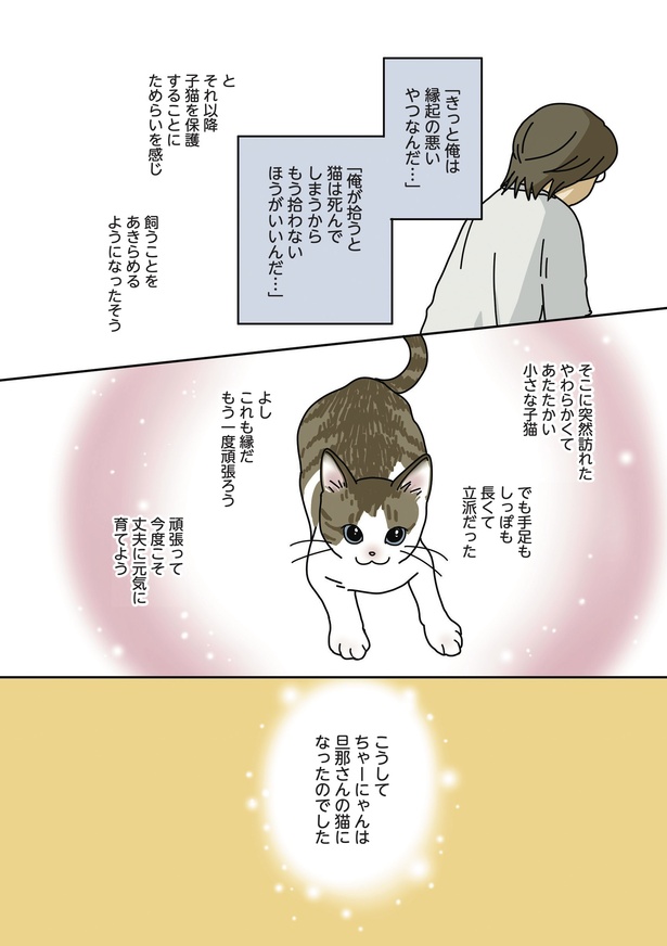 「世界一幸せな飼い主にしてくれた猫」04
