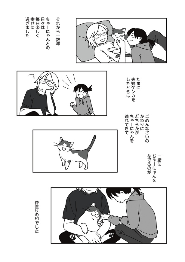 「世界一幸せな飼い主にしてくれた猫」15