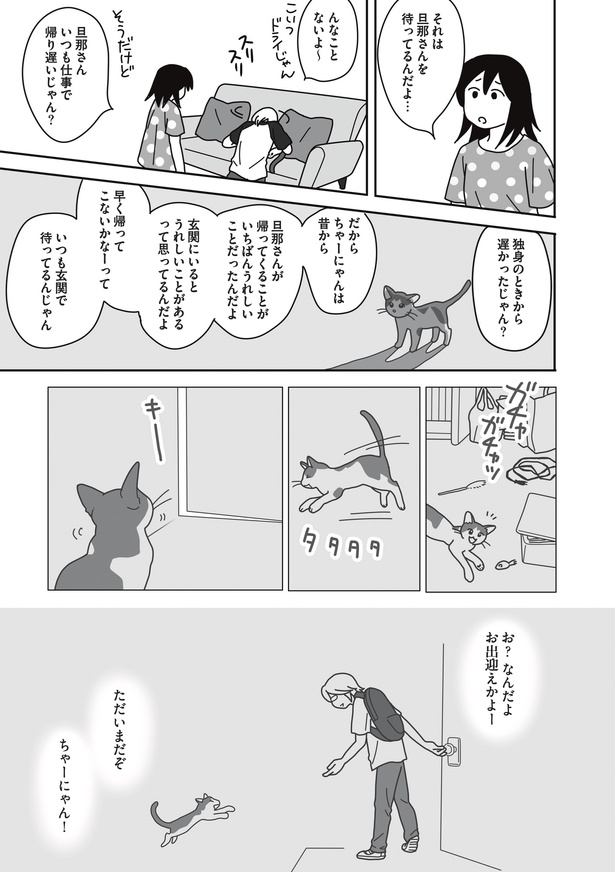 ＜画像24 105＞「辛かったけど楽しかった」愛猫の闘病と別れの日々を描いた漫画が出来上がった理由は【作者に聞いた】｜ウォーカープラス 1469