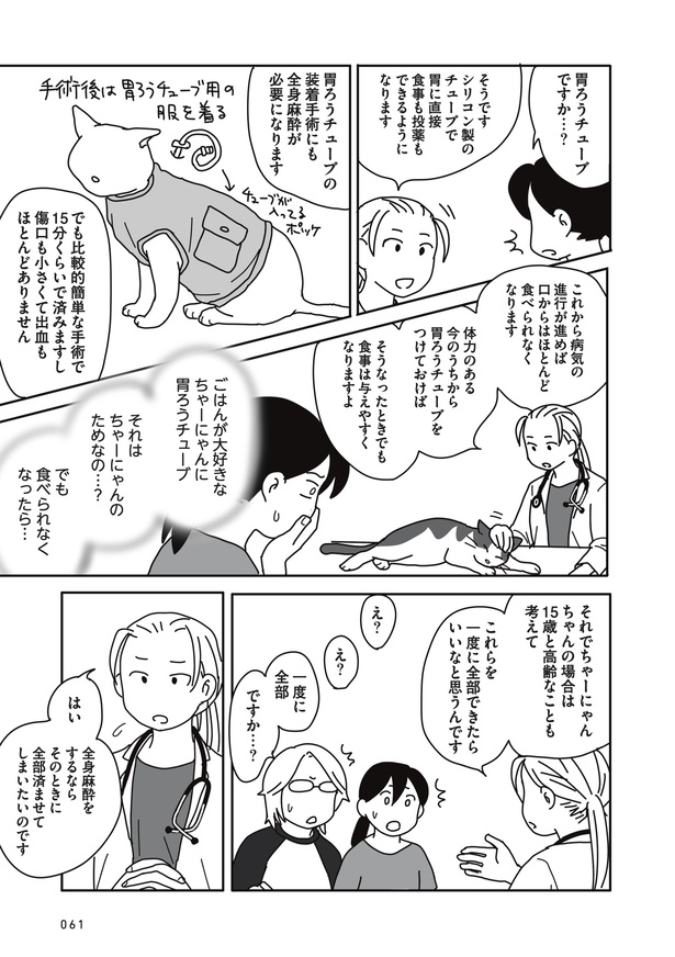 「世界一幸せな飼い主にしてくれた猫」48