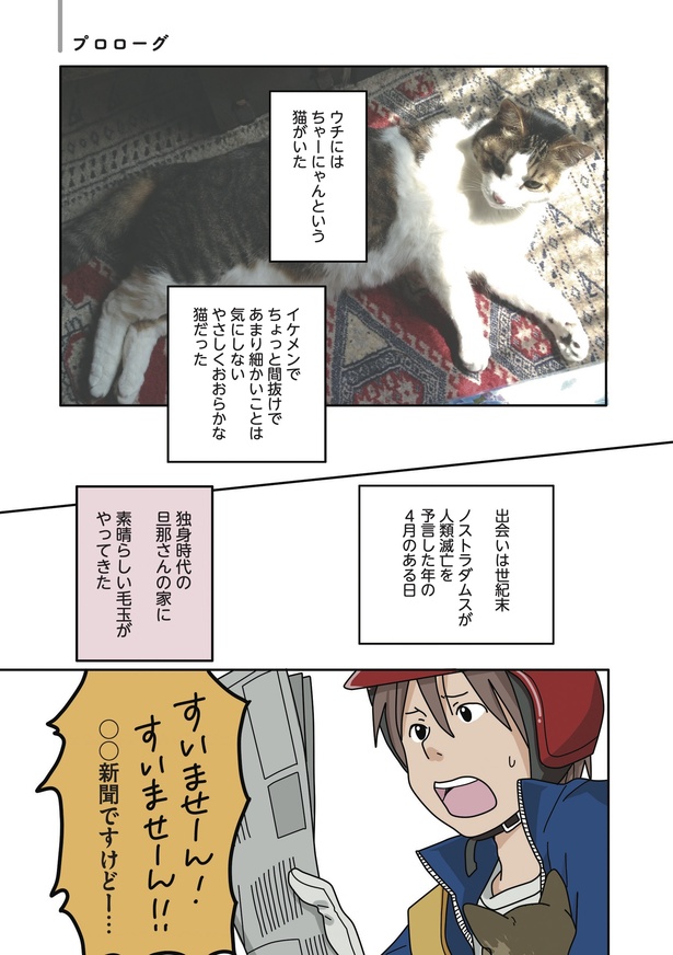 「世界一幸せな飼い主にしてくれた猫」01