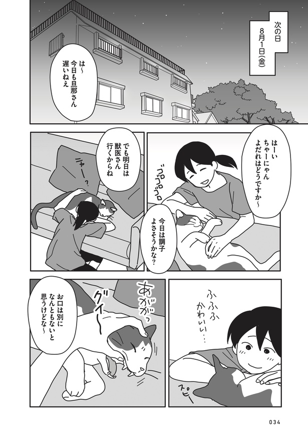 ＜画像28 106＞愛猫の闘病と別れ、その後を描いた漫画「世界一幸せな飼い主にしてくれた猫」。飼い主の覚悟と思いとは？【作者に聞いた