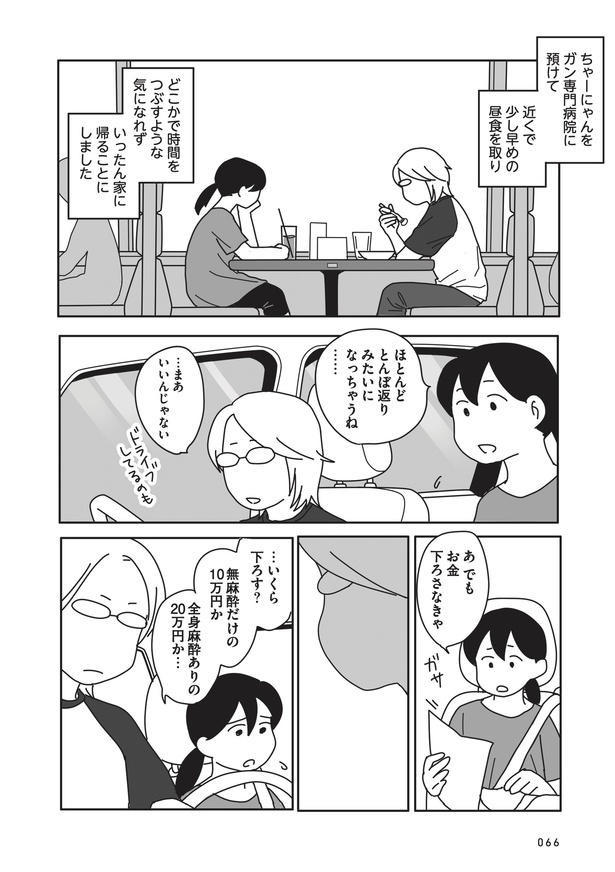 「世界一幸せな飼い主にしてくれた猫」53