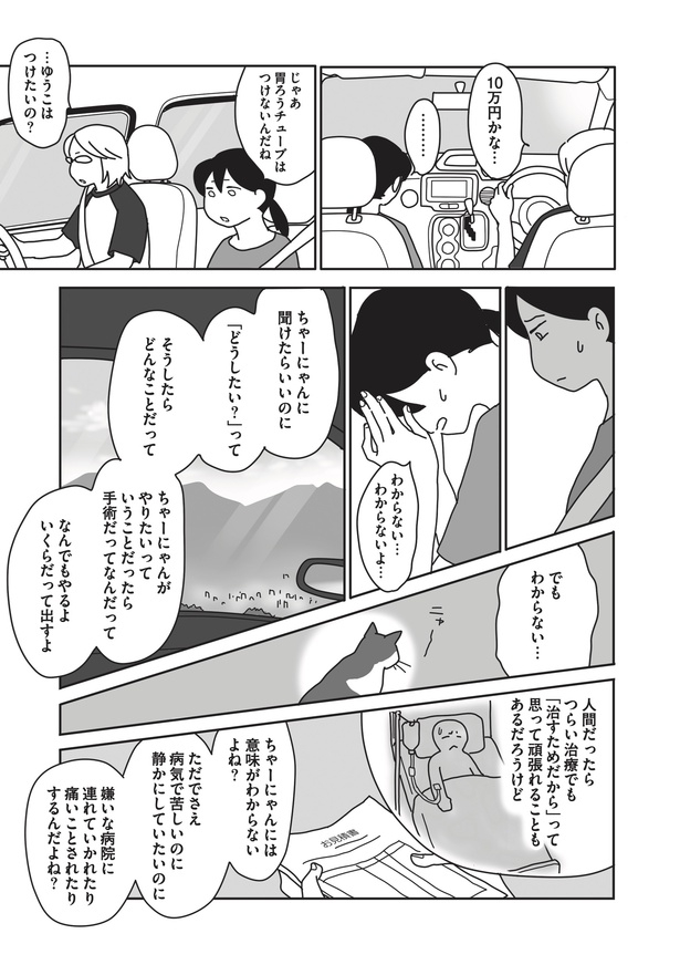 「世界一幸せな飼い主にしてくれた猫」54