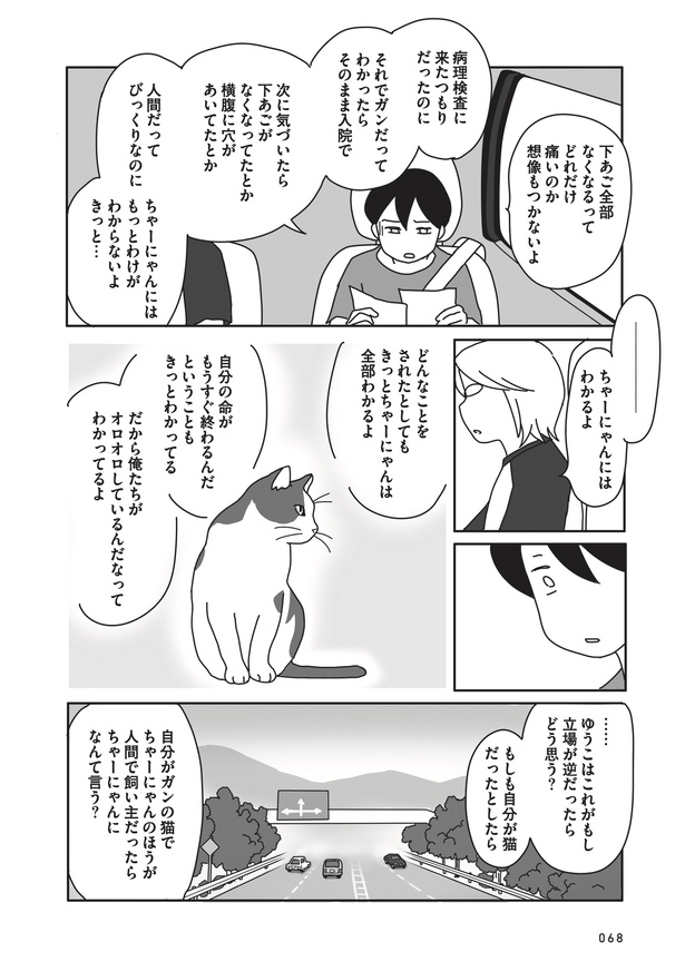 「世界一幸せな飼い主にしてくれた猫」55