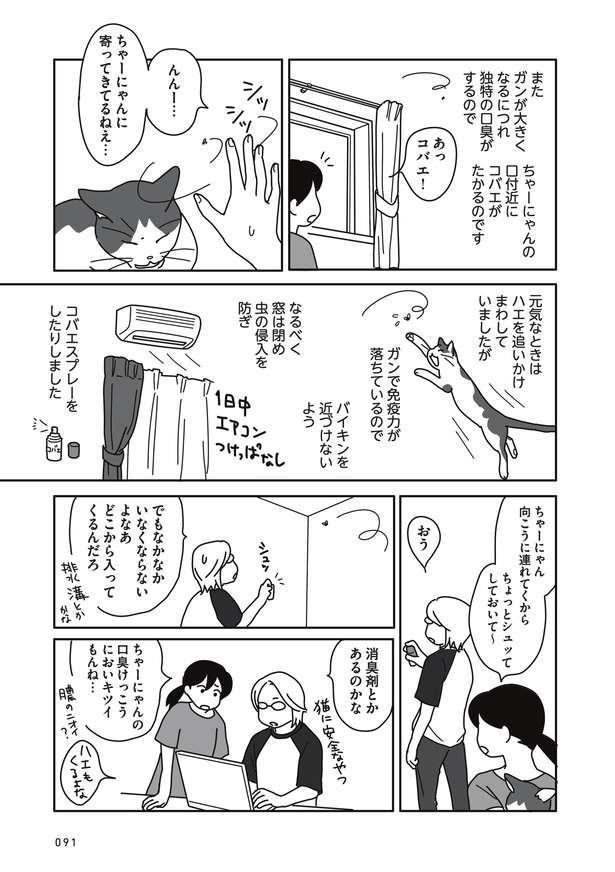 「世界一幸せな飼い主にしてくれた猫」74