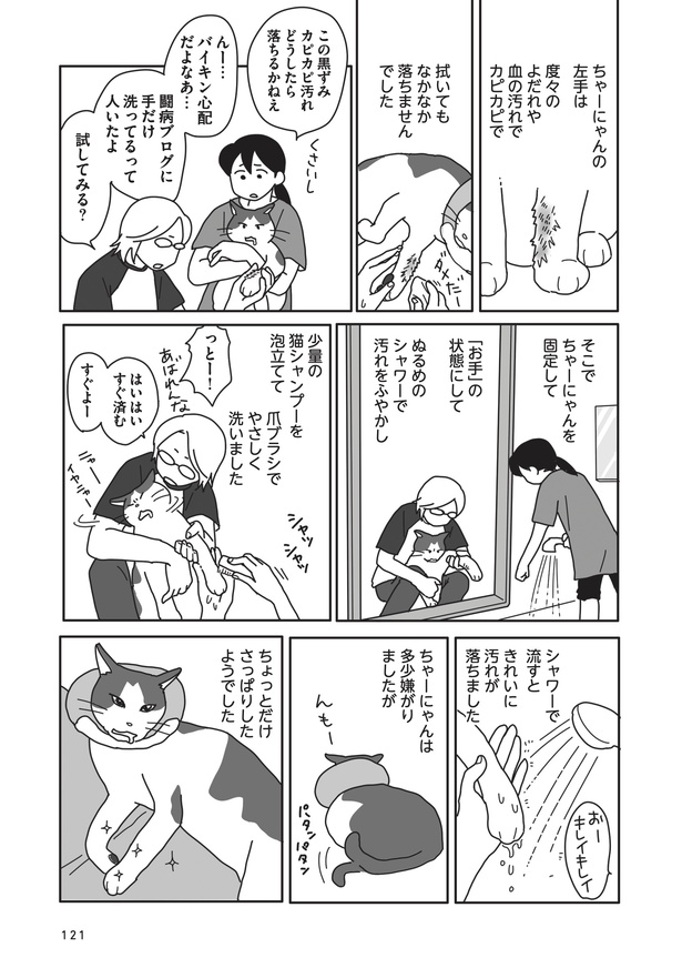 ＜画像98 106＞愛猫の闘病と別れ、その後を描いた漫画「世界一幸せな飼い主にしてくれた猫」。飼い主の覚悟と思いとは？【作者に聞いた