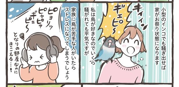 「小鳥をお迎えする前に知っておきたいこと」11/18