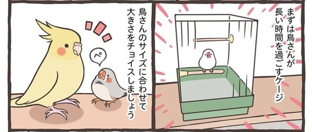 「トリ扱い説明書」より
