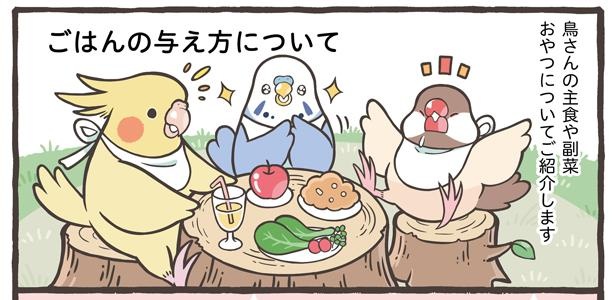 「ごはんの与え方について」1/18