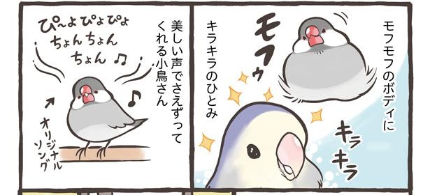 画像128 / 136＞【漫画】人気の鳥さんブンチョウとセキセイインコの ...