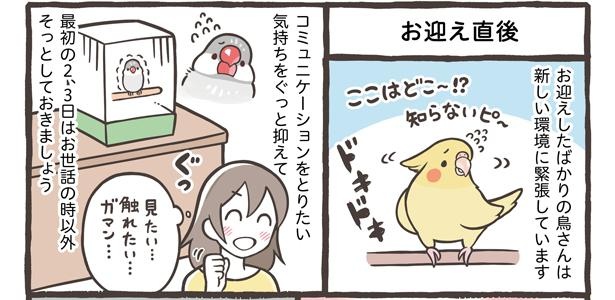 画像74 / 155＞【漫画】水浴び・爪切り・日光浴…鳥さんの一日とお世話 ...