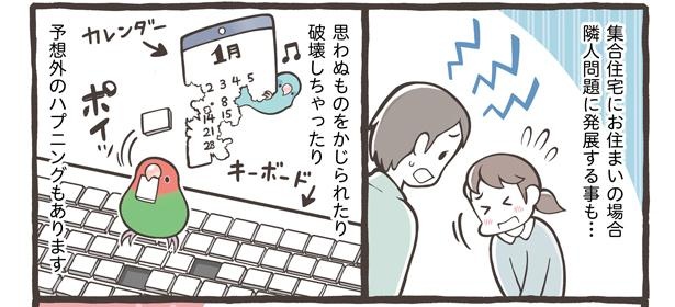「小鳥をお迎えする前に知っておきたいこと」13/18