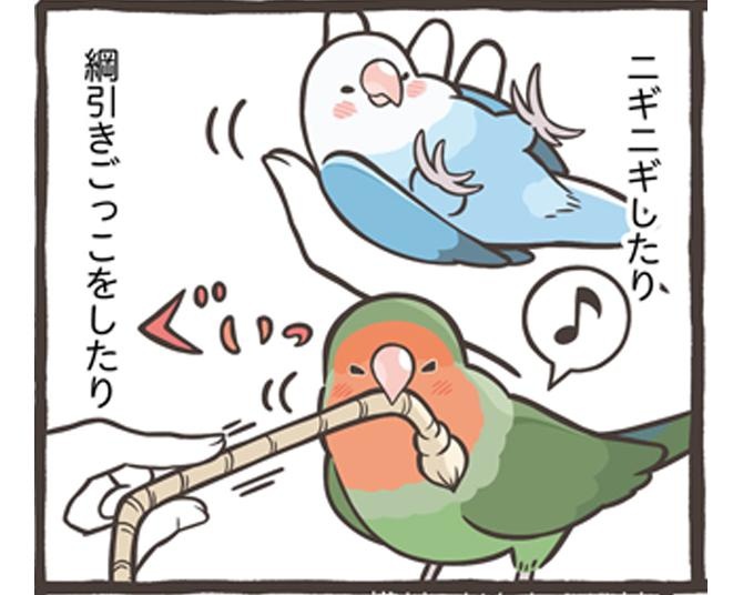 【漫画】毎日のコミュニケーションが超大切！小鳥と信頼関係を築く秘訣とは？