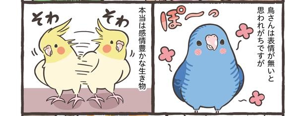 「仕草でわかる鳥さんの気持ち」2/18