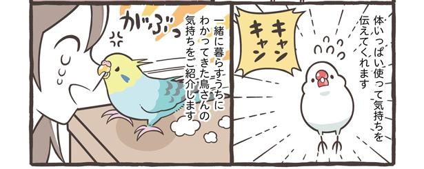 「仕草でわかる鳥さんの気持ち」3/18