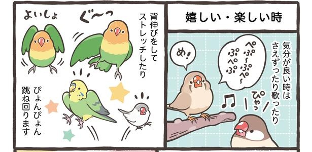 「仕草でわかる鳥さんの気持ち」4/18