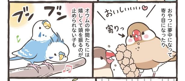 「仕草でわかる鳥さんの気持ち」5/18