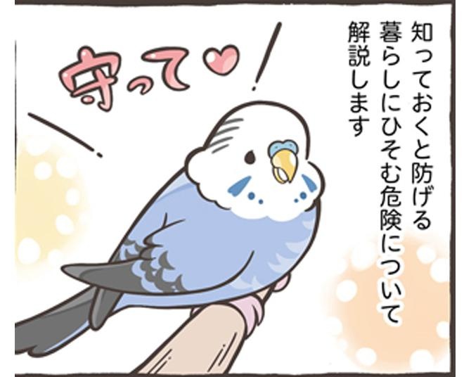 【漫画】「ながら放鳥」は絶対NG！身近に潜む鳥さんにとっての危険とは??