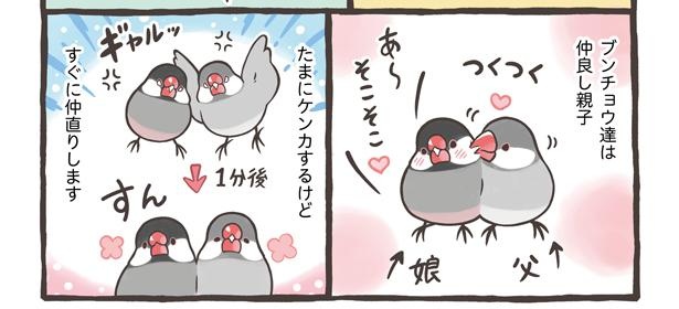 「トリ扱い説明書」3/15