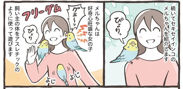「トリ扱い説明書」4/15