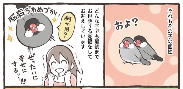 「トリ扱い説明書」より