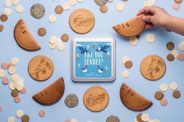 せんべい缶シリーズの新作「ARE YOU SENBEI?」