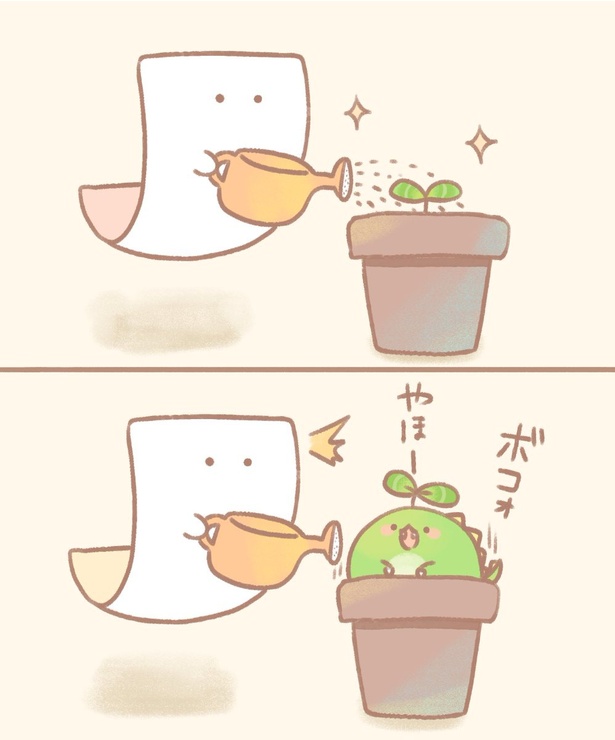 もめんが水やりをしていると...?