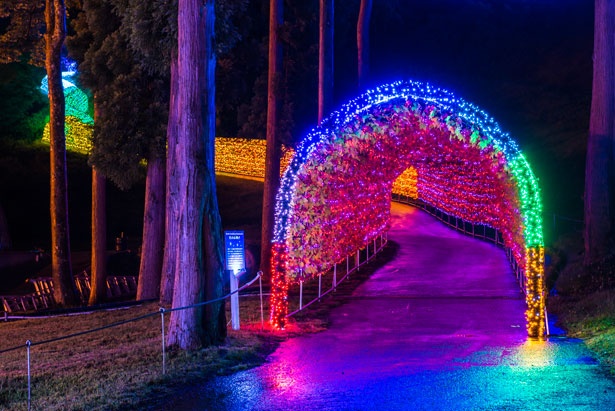 7色のレインボーカラーで彩られた「虹龍の光の大トンネル」。世界最大級の光のトンネルを進もう