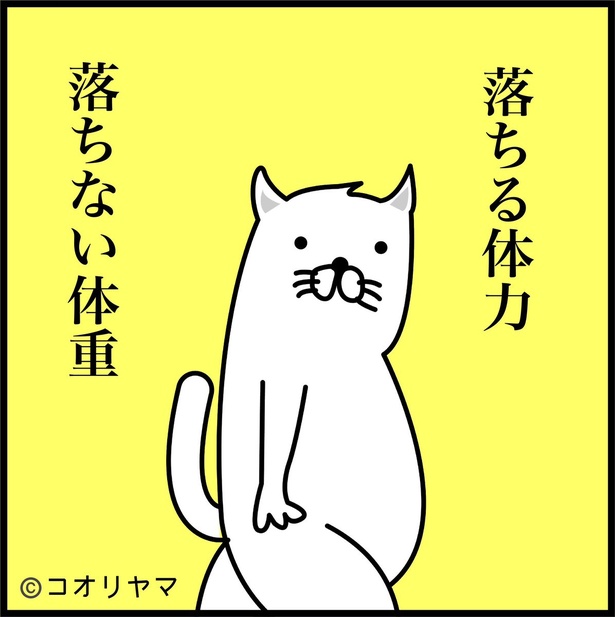 脂肪はすぐ付くのに、体力を付けるのはどうしてこんなに大変なのだろうか