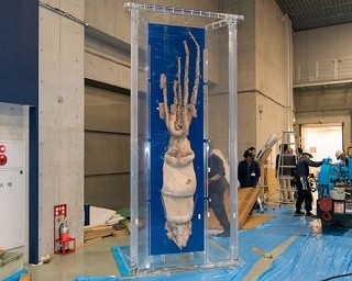 見所が盛りだくさん！科博の特別展「深海2017」開催