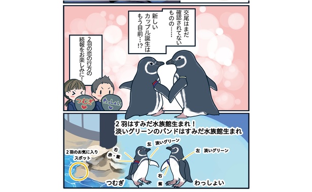 うぶすぎる恋に熱視線!想いが届くのは一体いつ!?「下町ペンギン物語」第二話(15/15)